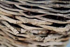 Agnes Meijer Photography