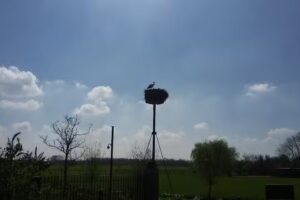 Allard Studio&rsquo;s Welgelegen