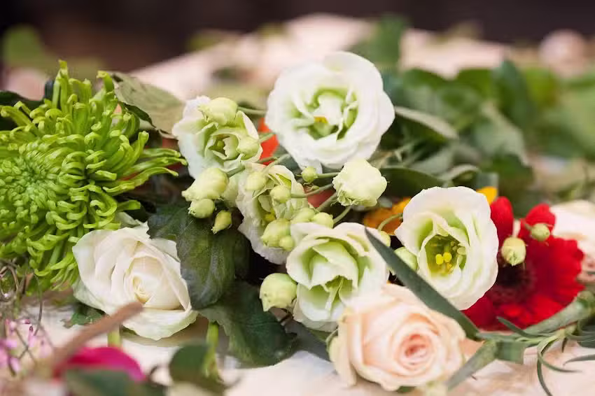 Anna Groot afscheidsfotografie