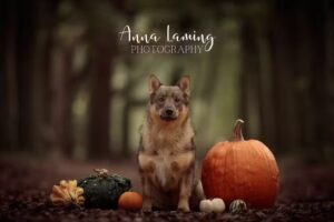 Anna Laming Photography