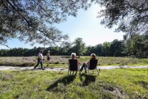 Anne Hamers Fotografie