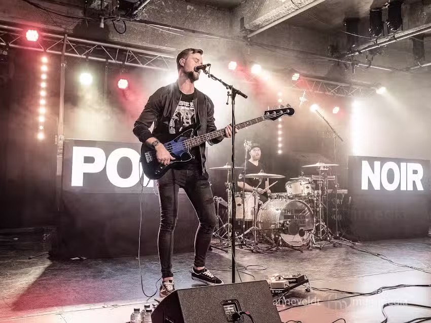 anneveldt-multimedia