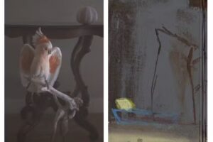 Anouk De Kleermaeker