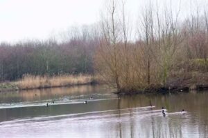 Artastiek Fotografie