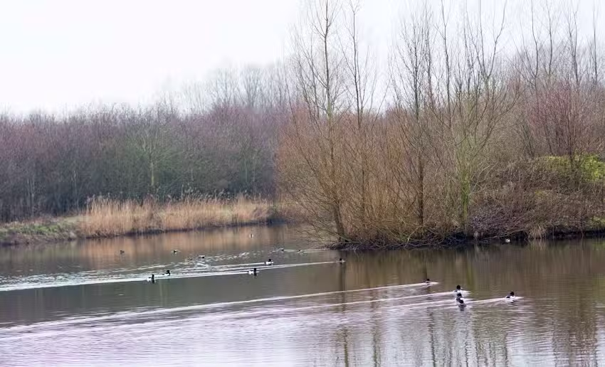 Artastiek Fotografie