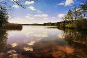Astrid Roox Fotografie