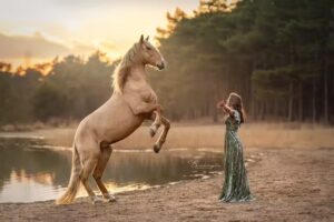 Bembregts Fotografie