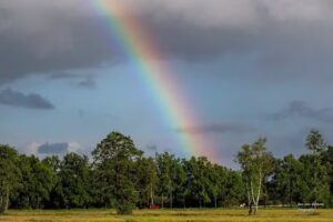 Ben van Damme fotografie