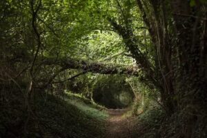 Bert Janssen Fotografie