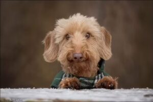 Bert Jonkhans Fotografie