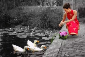 Bert Lanting Fotografie