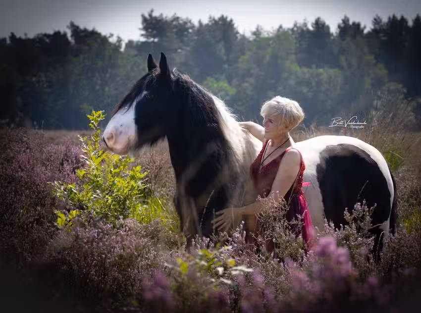 Britt Vandenbrande Fotografie