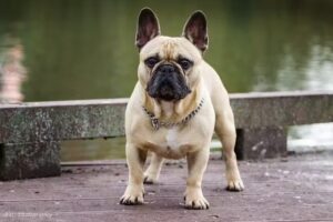 BvO &ndash; Fotografie & Social Media