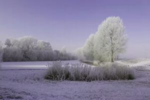 Cees Zorn Fotojournalist