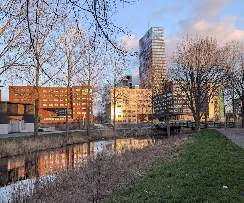 Centrumbeeldbeleving