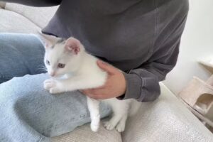 Claudia Damen | Food Photography & Styling