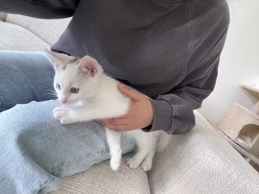 Claudia Damen | Food Photography & Styling