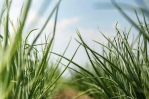 De Boerderij Fotograaf