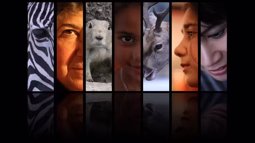 Deniz Hammudoglu Fotografie