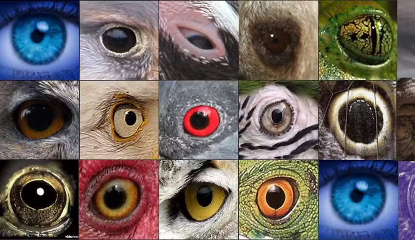 DeuxBleus Fotografie 📸