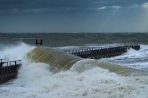 Ditta van Ekris Vakfotografie