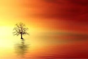 Drone Fotograaf Nederland