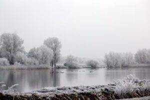 Dutchy photo&rsquo;s