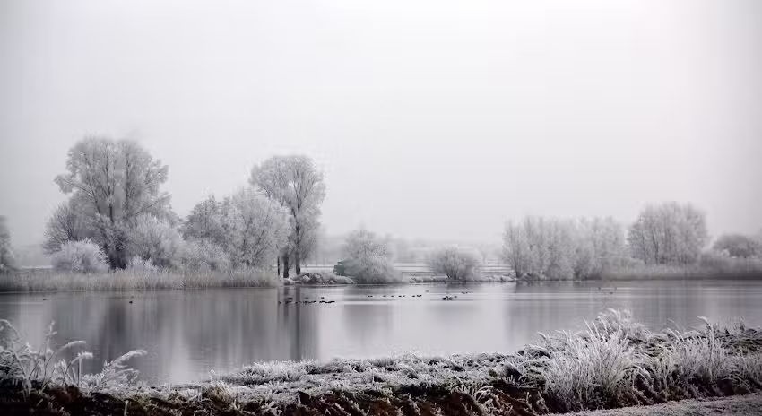 Dutchy photo&rsquo;s