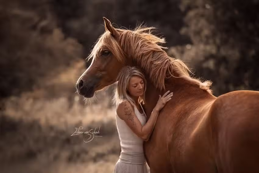 Eliane van Schaik Photography