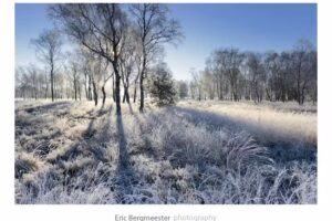 Eric Bergmeester Photography