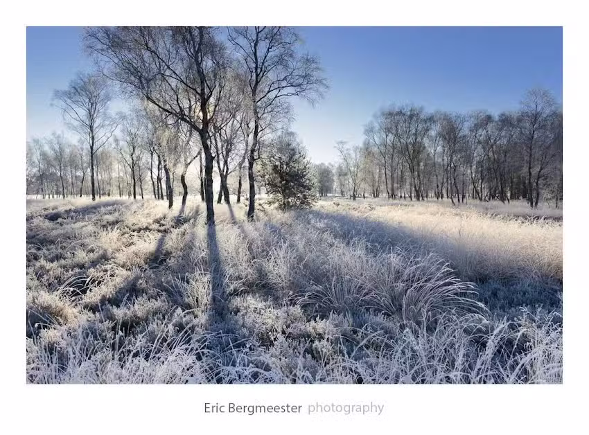 Eric Bergmeester Photography