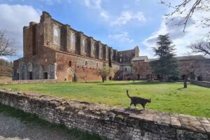 Ernst van Loon Fotografische Vormgeving