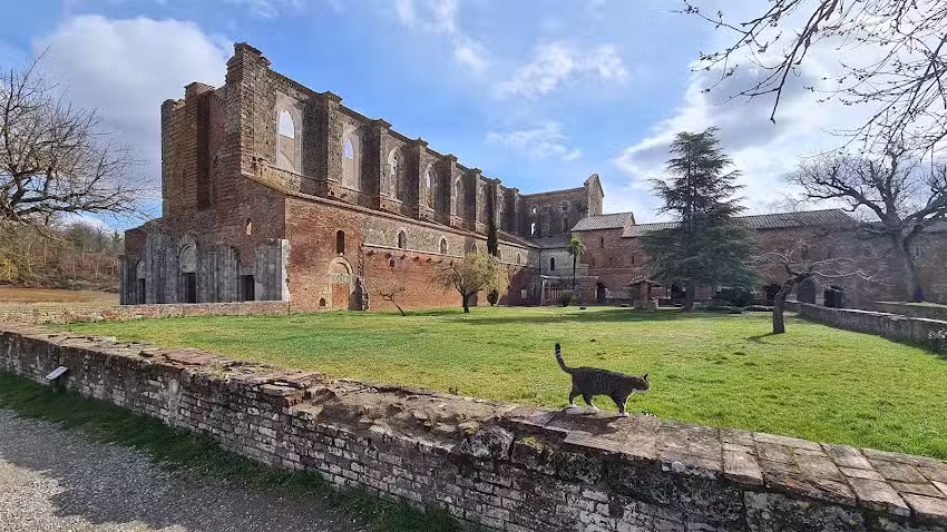 Ernst van Loon Fotografische Vormgeving