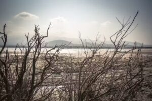 Evenement Woeste wijngronden