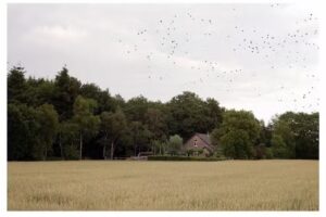 Evert Klein Nagelvoort Fotografie