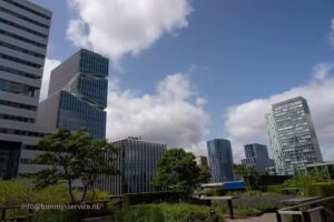 Films en fotografie &ndash; Look Arts Vision