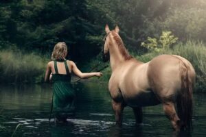 Fine Art fotograaf Hoorn