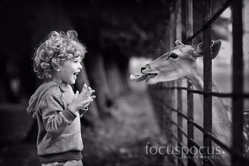 FocusPocus Fotografie