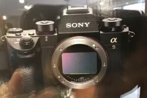 Foto Grijpink BV 📷