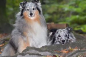 Foto Ren&eacute; Tuinte &ndash; Winkelen in Zeewolde