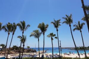 FotoBrigitte fotograaf