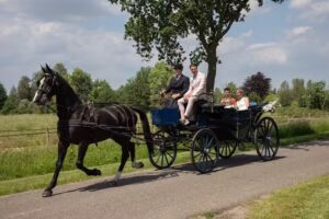 Fotograaf Aalten | don.fotografeert