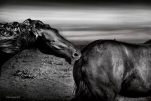 Fotografie cursus in Rotterdam