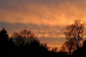 Fotografie en Ontwerp Hanneke De Boer