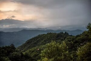 Fotografie Maarten van der Wilt