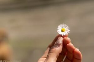 Fotomarie Fotografie