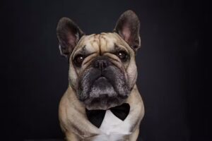 Fotostudio Smile by Marieke