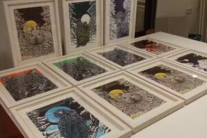 Frame by Frame Lijstenmakerij