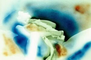 Freek Peters Fotografie