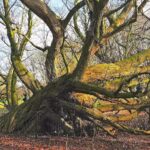 Govert de Jong Fotografie